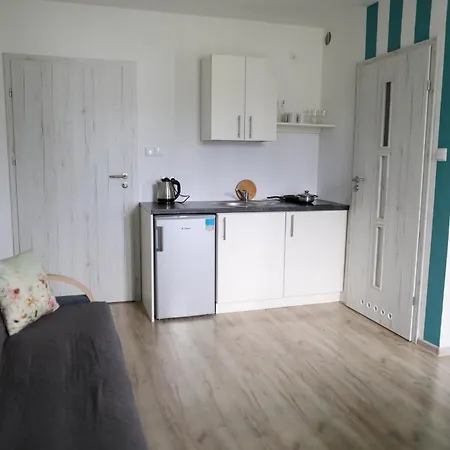 דירה Poddabek- Basen Kryty, Sauna, Animacje Dla Dzieci , Malpi Gaj, Baseny Na Dachu פודאובי