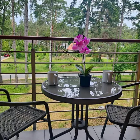 Poddabek- Basen Kryty, Sauna, Animacje Dla Dzieci , Malpi Gaj, Baseny Na Dachu Appartement *