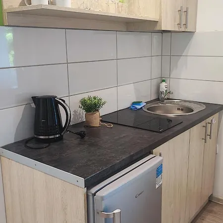 Poddabek- Basen Kryty, Sauna, Animacje Dla Dzieci , Malpi Gaj, Baseny Na Dachu פודאובי