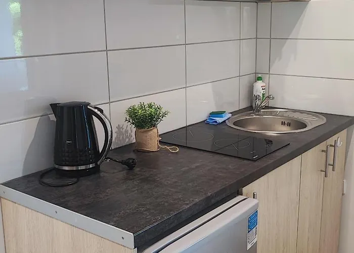 Poddabek- Basen Kryty, Sauna, Animacje Dla Dzieci , Malpi Gaj, Baseny Na Dachu Poddąbie